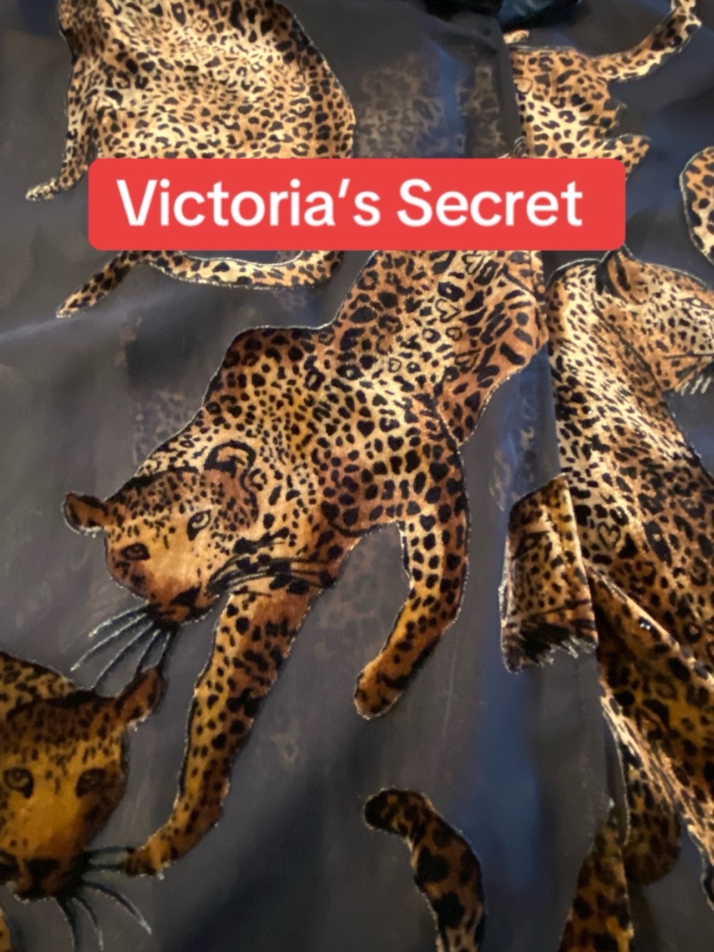Victoria's Secret Velvet Burnout Pegnoir Luxury Set